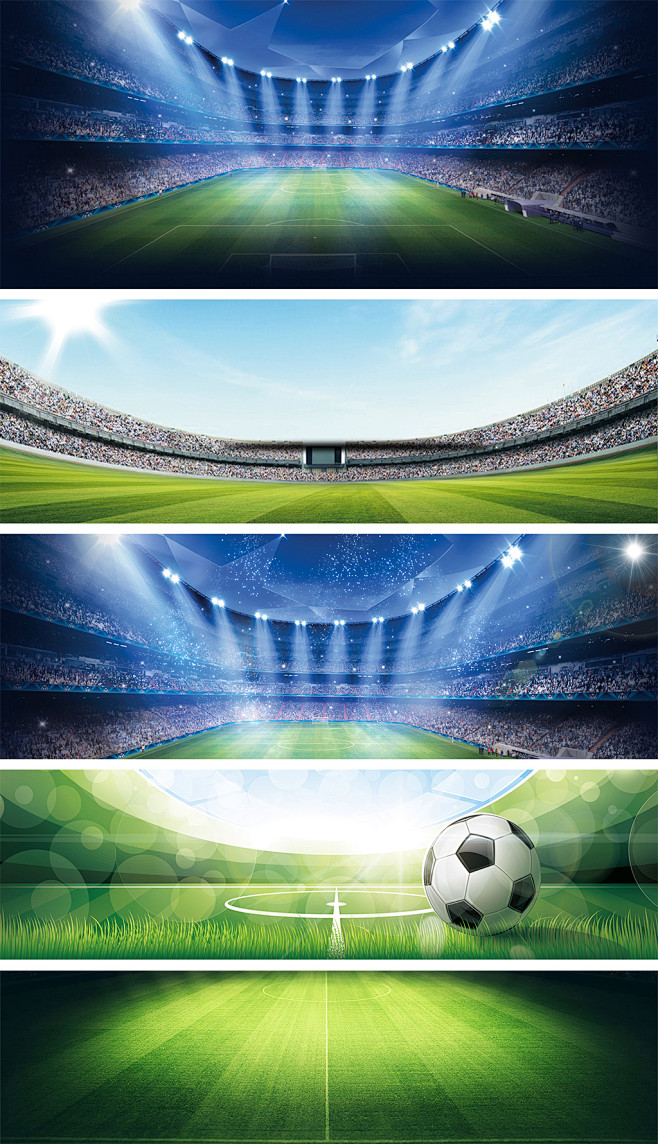 的支持下 的支持下